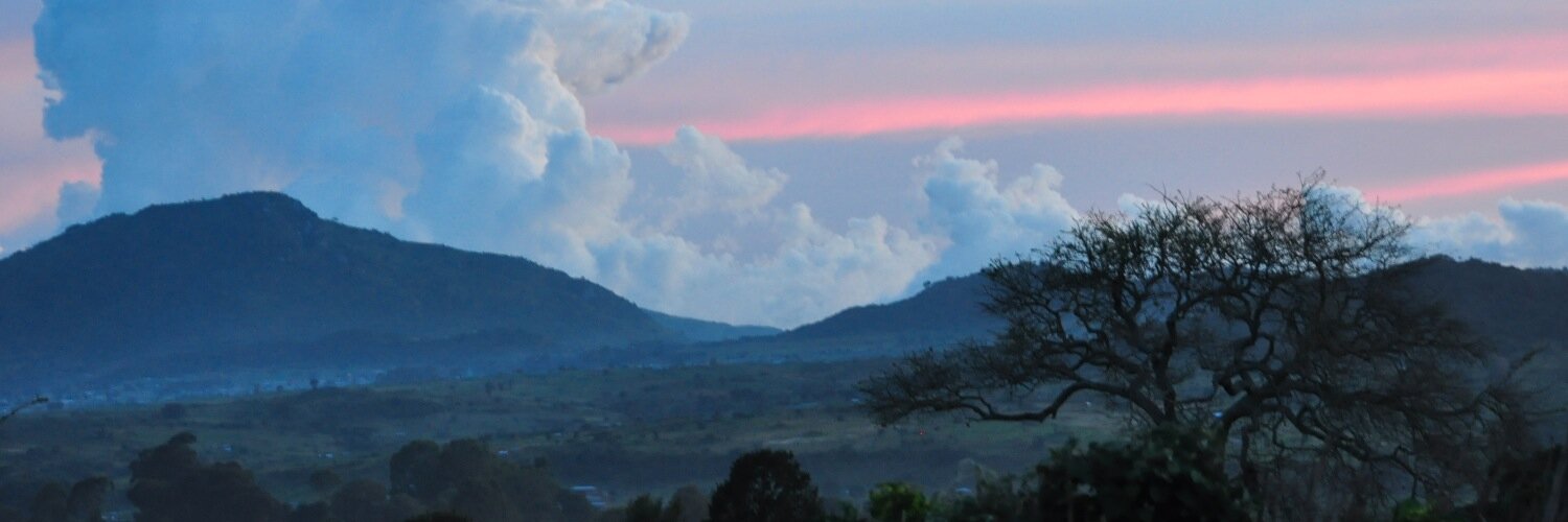 Dr. Adrienne Strong banner