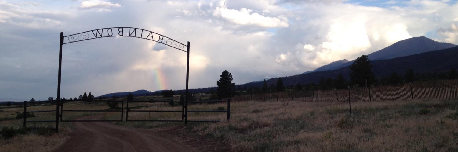 Jason Galloway banner