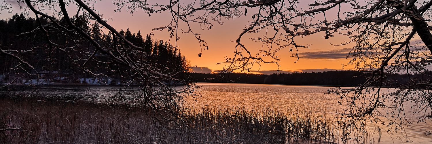M_Toikka's profile banner image