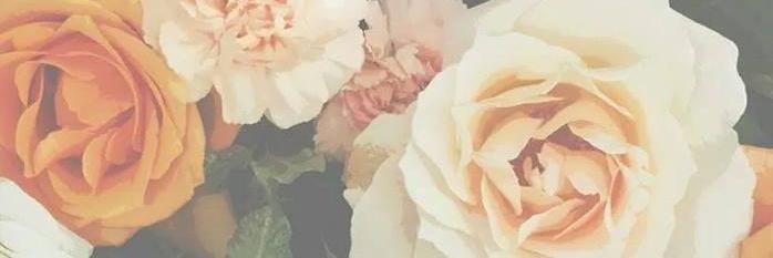 SasaMaria__'s profile banner image