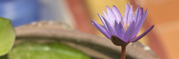 KA_DUS Profile Banner