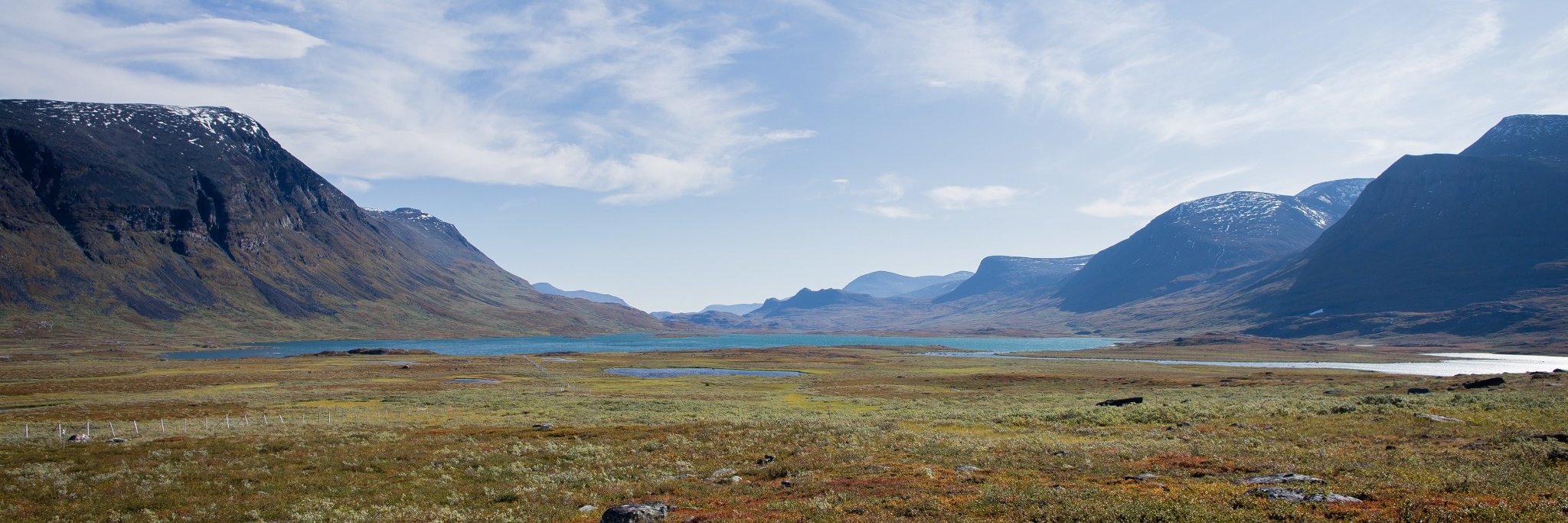 Daniel Bischoff banner