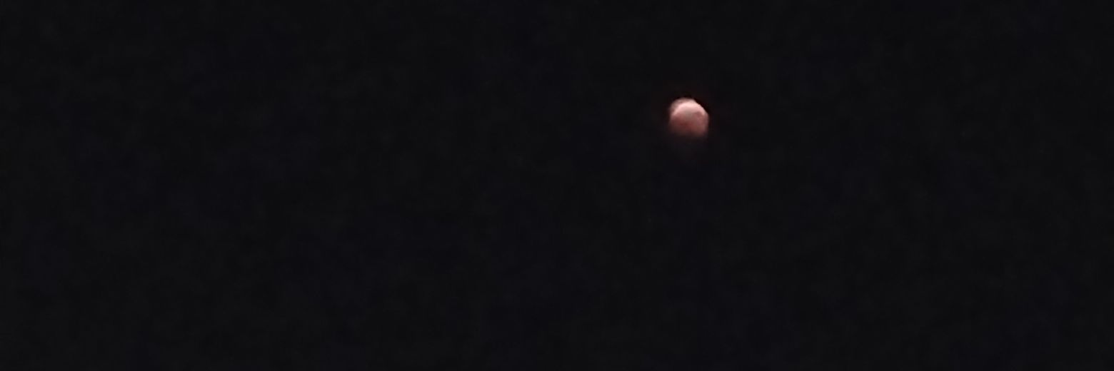 ヾ(ﾟ∀ﾟ ) banner