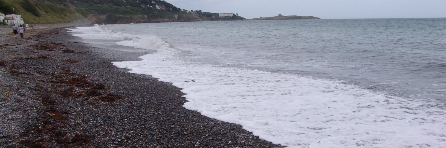 Diógenes Gomes banner