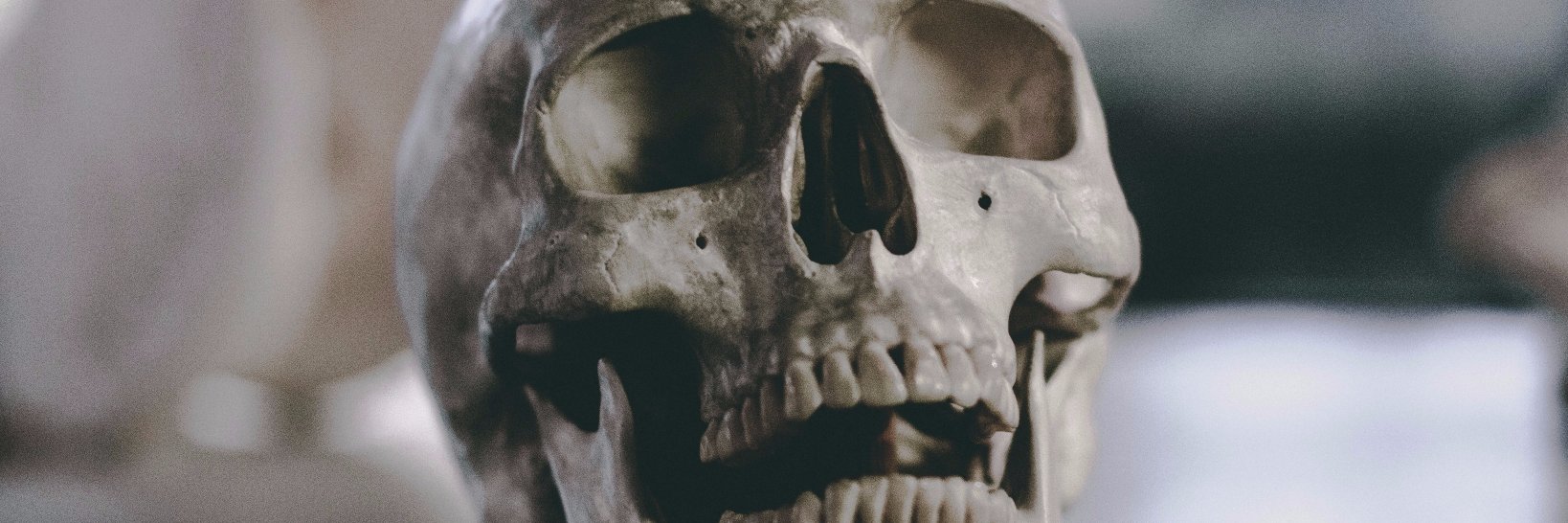 Inishini_'s profile banner image