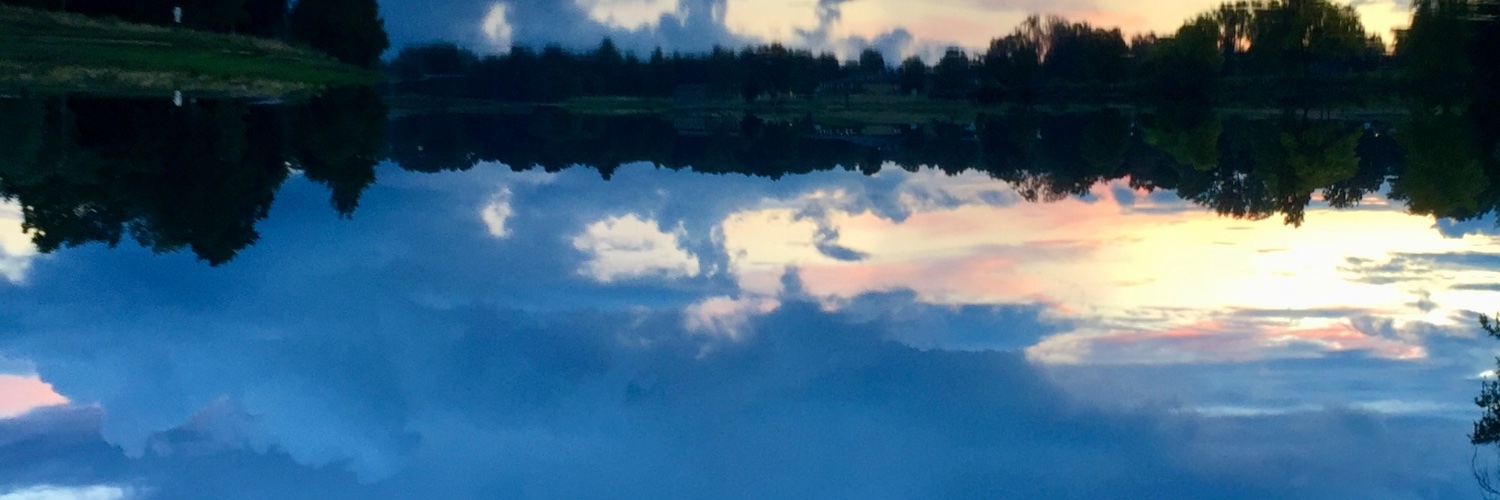 annecarlsson2's profile banner image