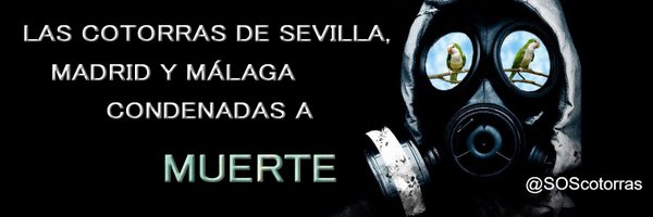 SOScotorras Profile Banner