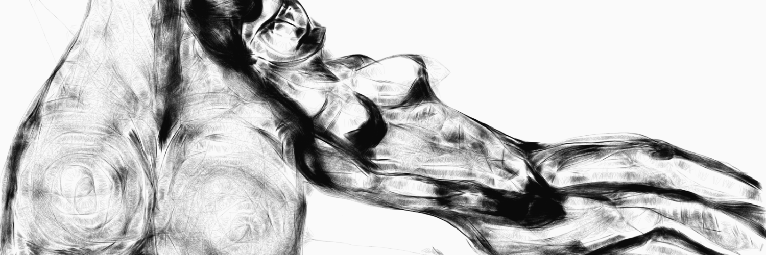 cuellarreyes's profile banner image