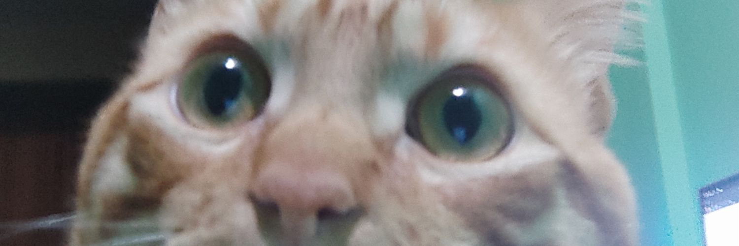 Javi_Joll's profile banner image