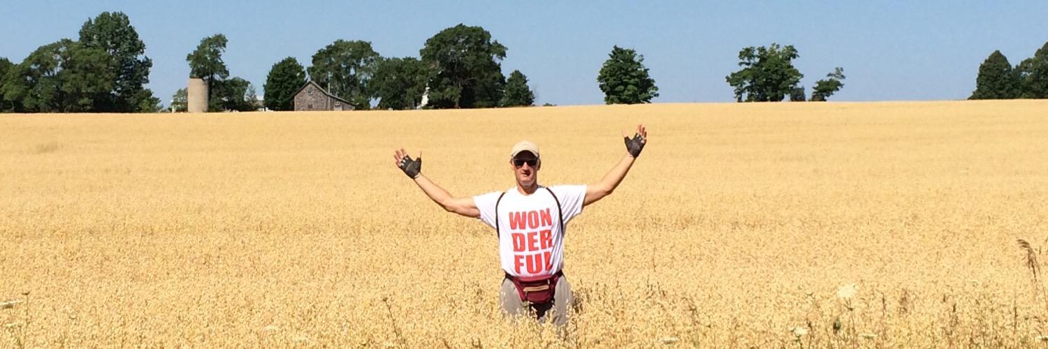 Dave Steavpack banner