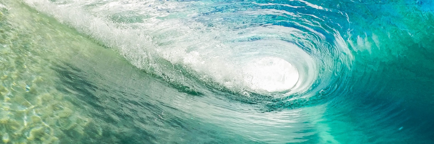 Shane Crawford banner