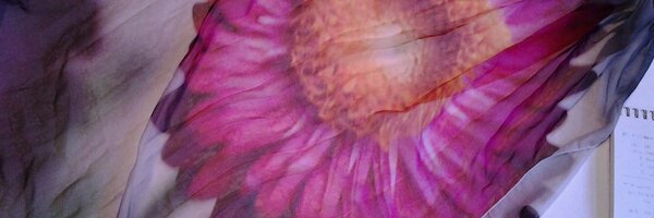 TodorukDesigns Profile Banner