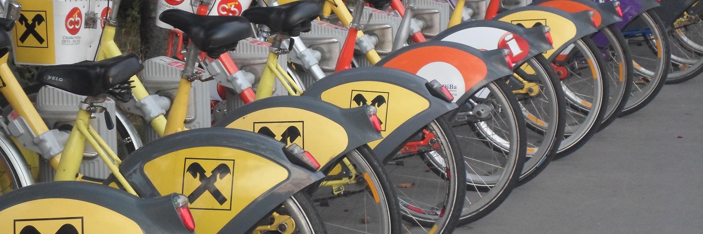 Yolanda Thiriet banner