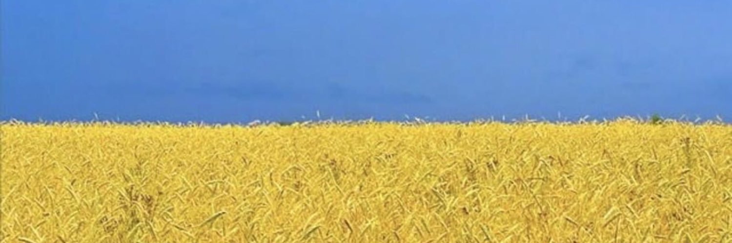 SprouleDavid's profile banner image