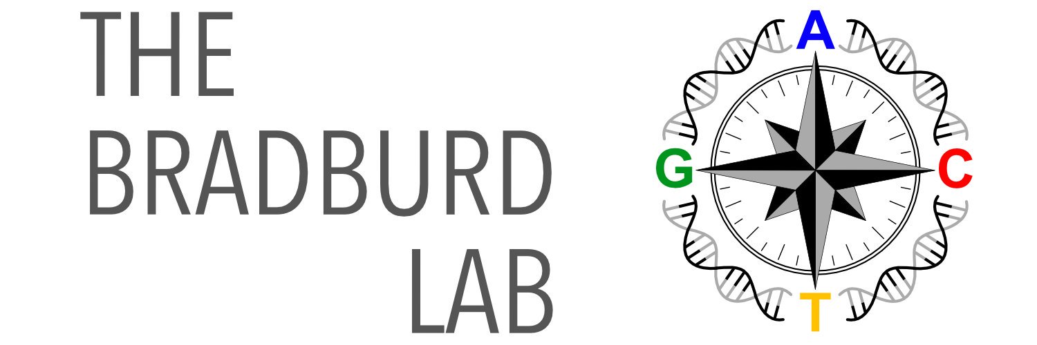 Gideon Bradburd's banner