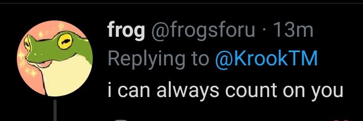 not krook™️ banner