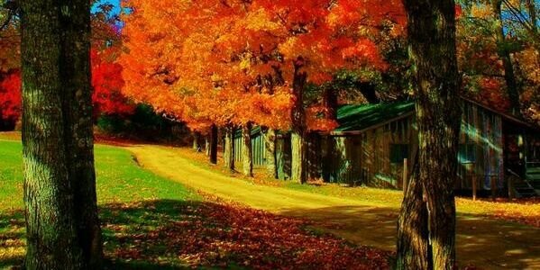 sh_197919's profile banner image