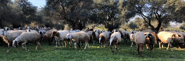 AlonBar10 Profile Banner