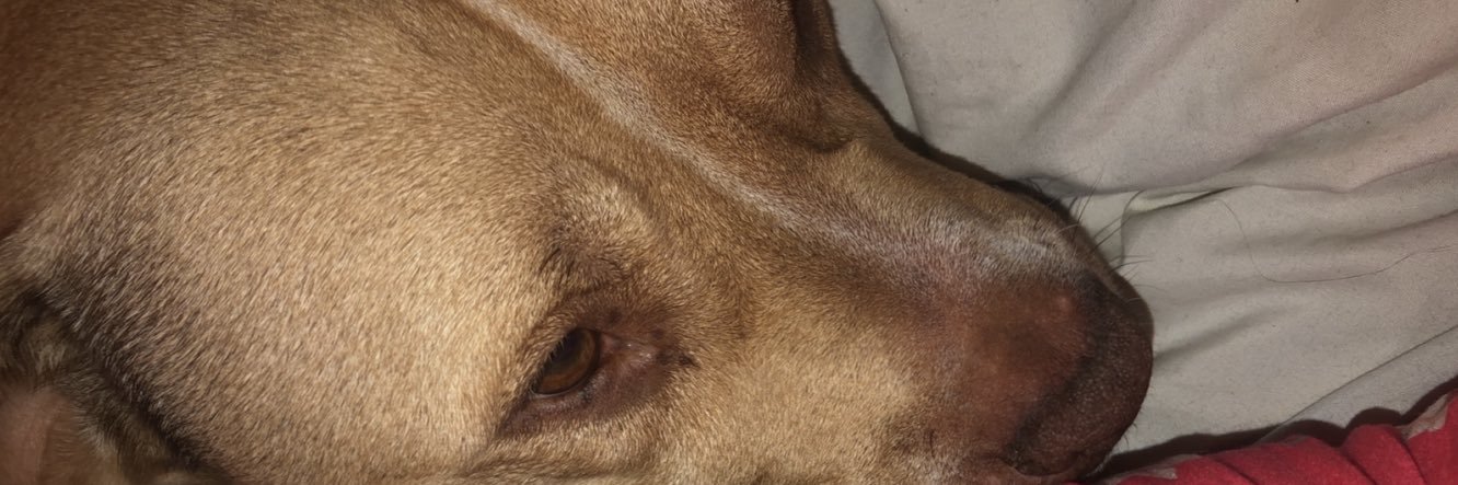 QueenChieff's profile banner image