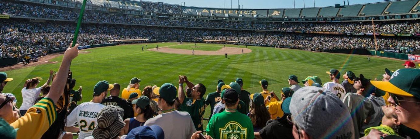 FoulBallMayhem's profile banner image