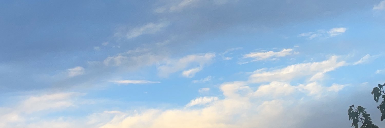 lilieninas's profile banner image