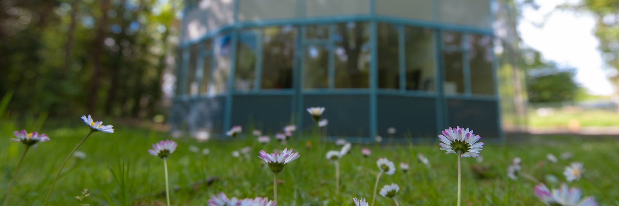 jonke010's profile banner image