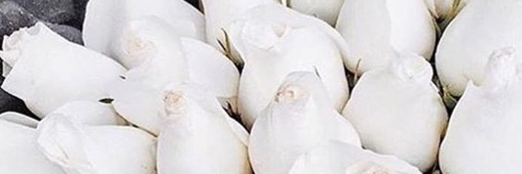 JessBlackburnx's profile banner image