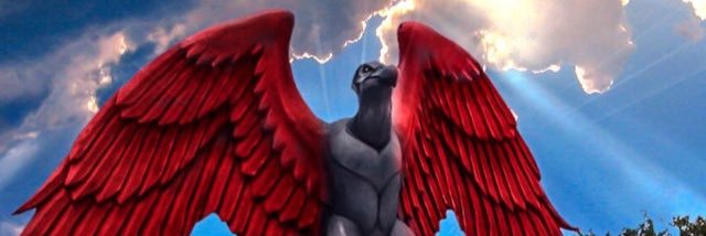 crfmont's profile banner image