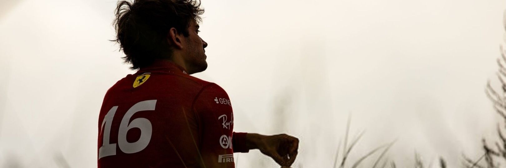 lice⁵⁵ banner