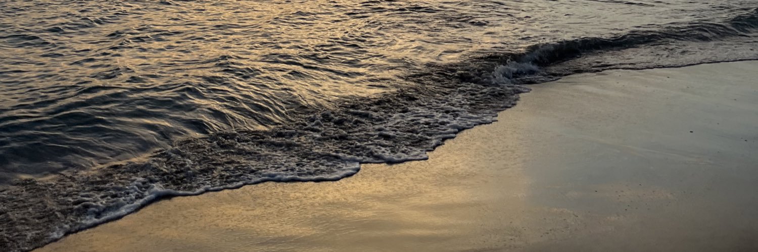 Claudia Baena banner