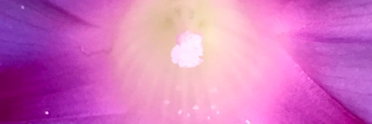 ScoutRemington's profile banner image