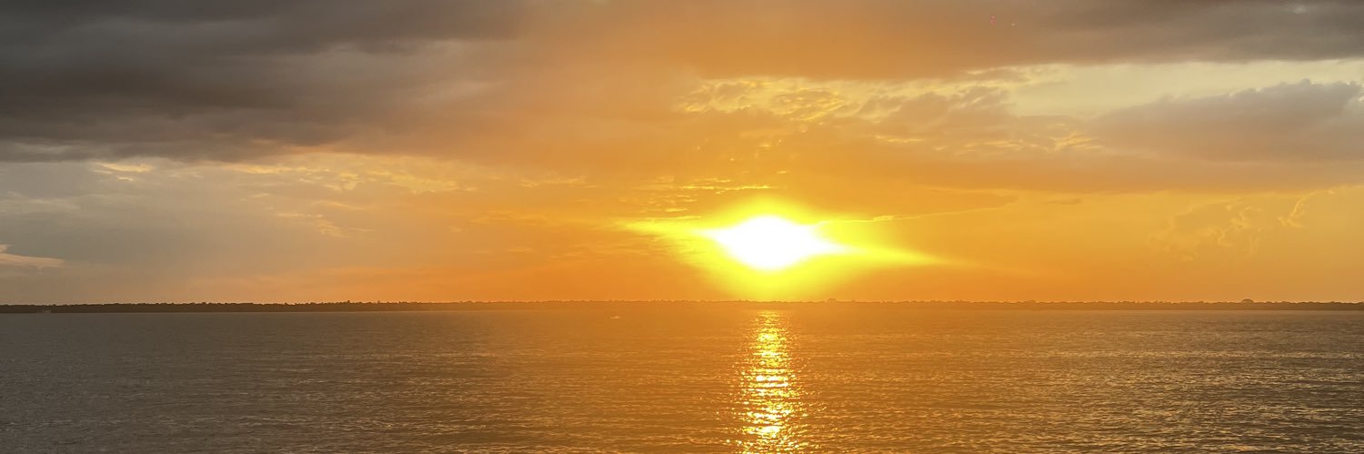 thomarinho's profile banner image