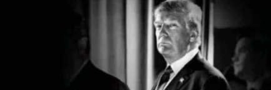 Dawn Houghton banner