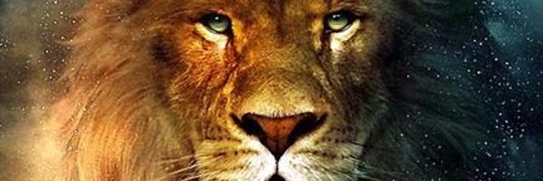 Ömer Güngör's banner