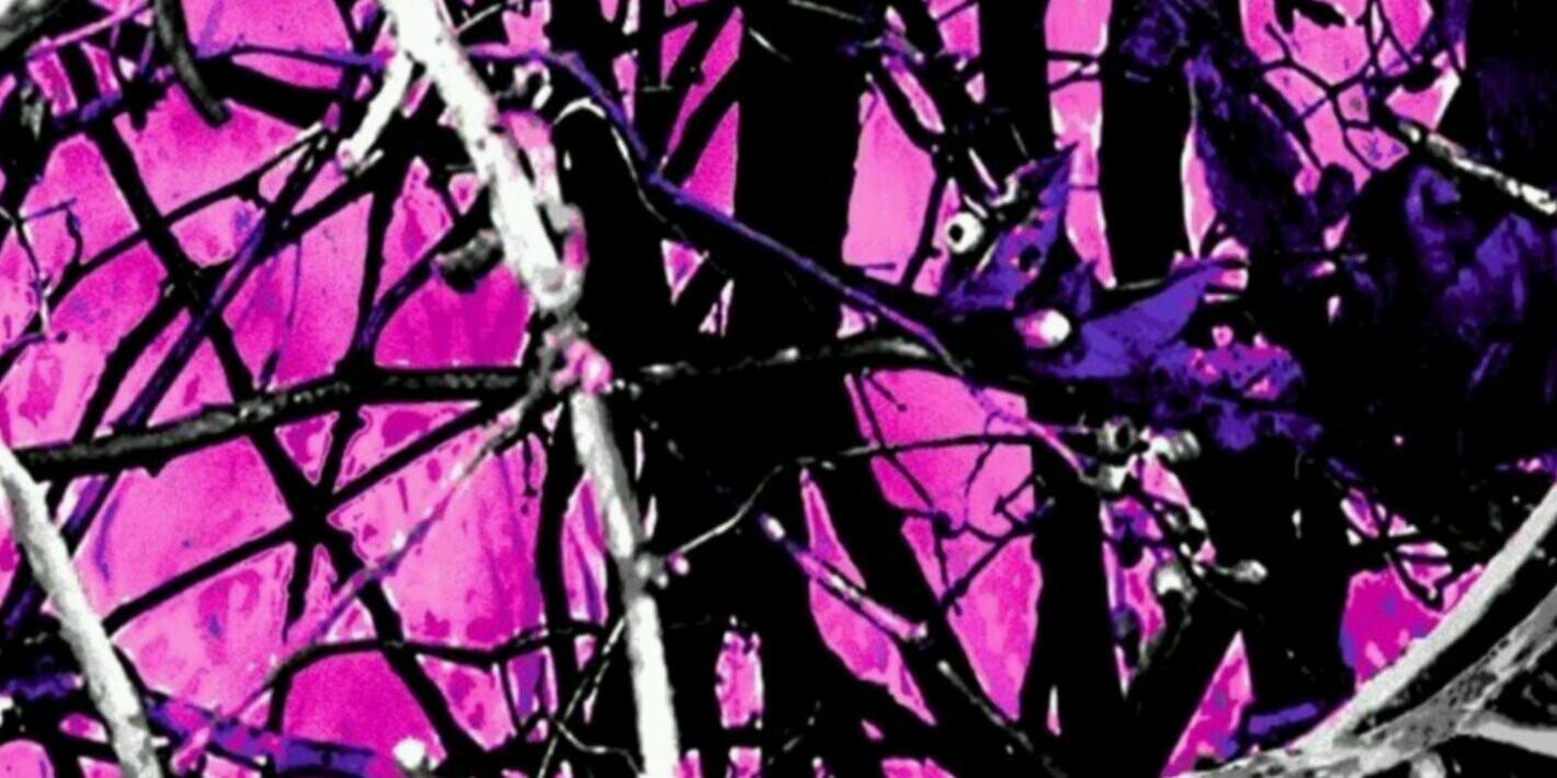 SammyMillet's profile banner image