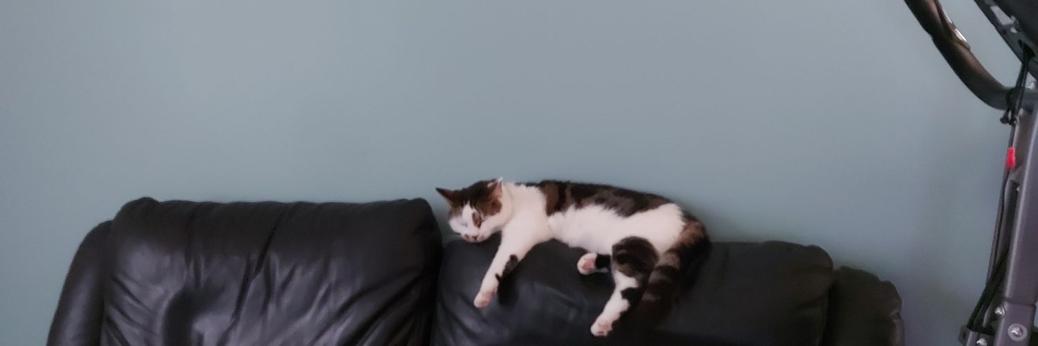 CrumblyCakes banner