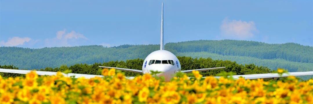 Fly_aircraft_'s profile banner image