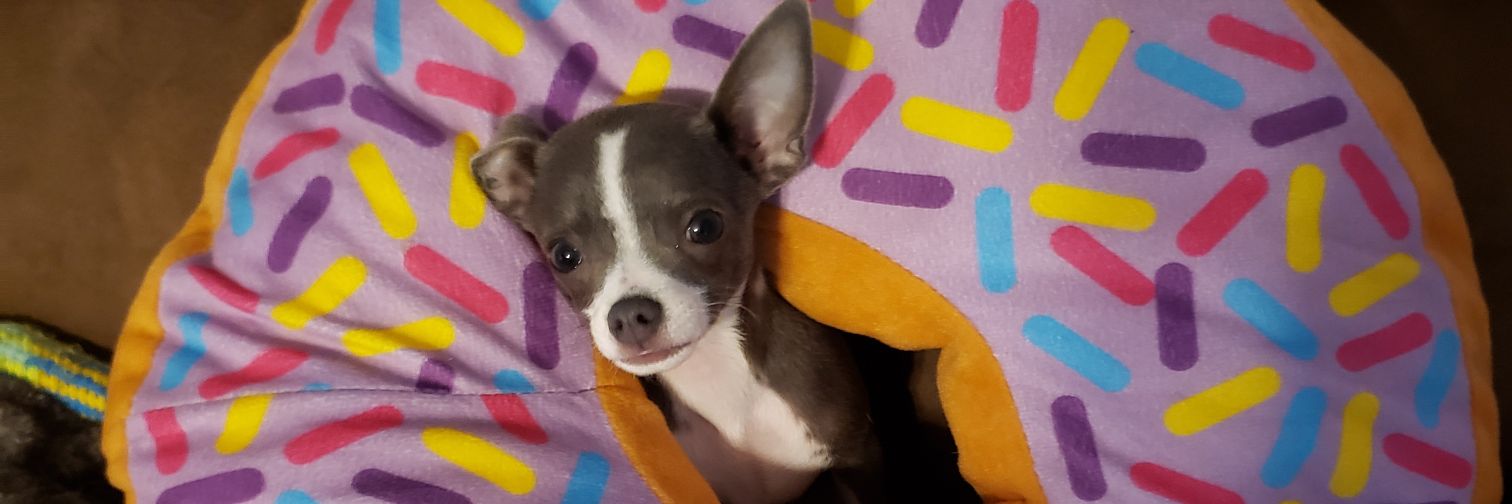 daisymaelol's profile banner image