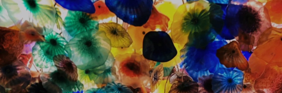 SiwaTF's profile banner image