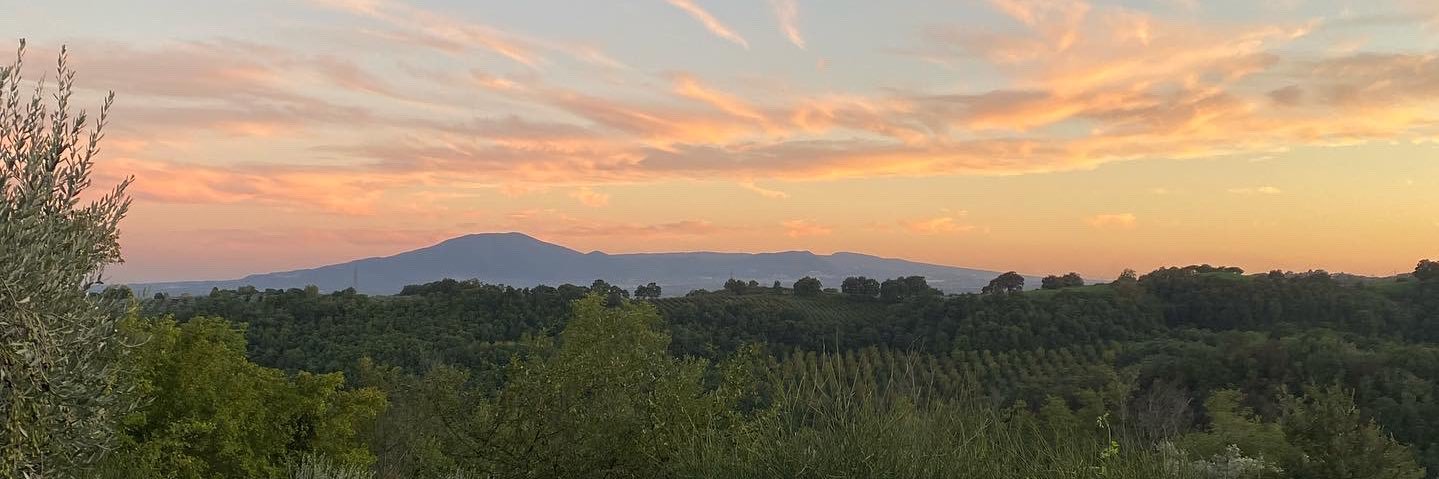 Matthew Santucci banner