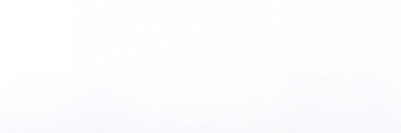 alicja banner