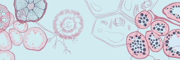 Miriampippaart Profile Banner