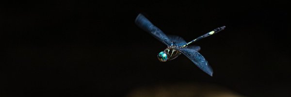 samueltfabian Profile Banner
