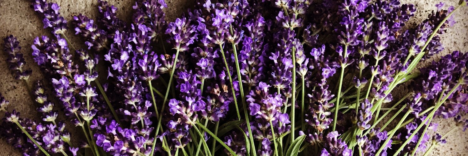 mollytuberose's profile banner image