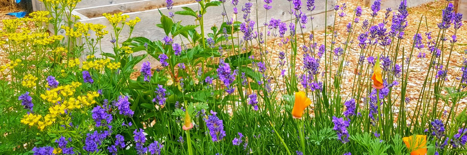 Jennifer Towers banner