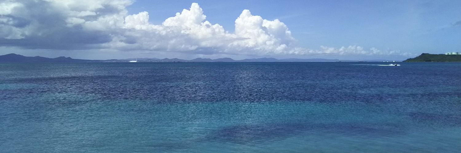 ⓟⓘⓒⓚⓔⓨ banner