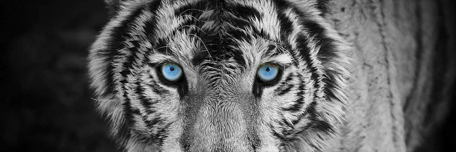 gaye_yet's profile banner image