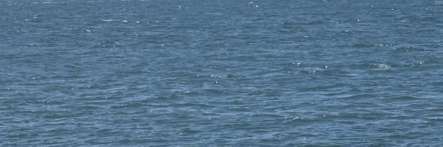 WinderrAlexia's profile banner image