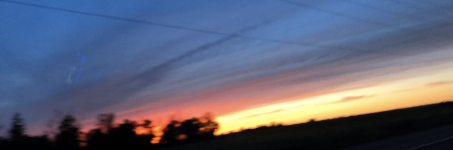 staceysole2020 banner