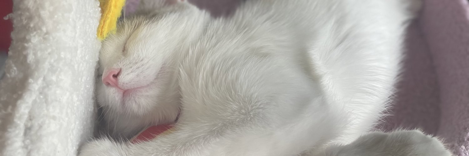 irlyuumigf's profile banner image